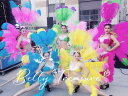 サンバ 衣装 5colorWM-003-202507ステージ衣装 背中の羽根 サンバ衣装 サンバダンス 衣装 ダンスドレス 新しいキャットウォークの天使の羽 ビ...