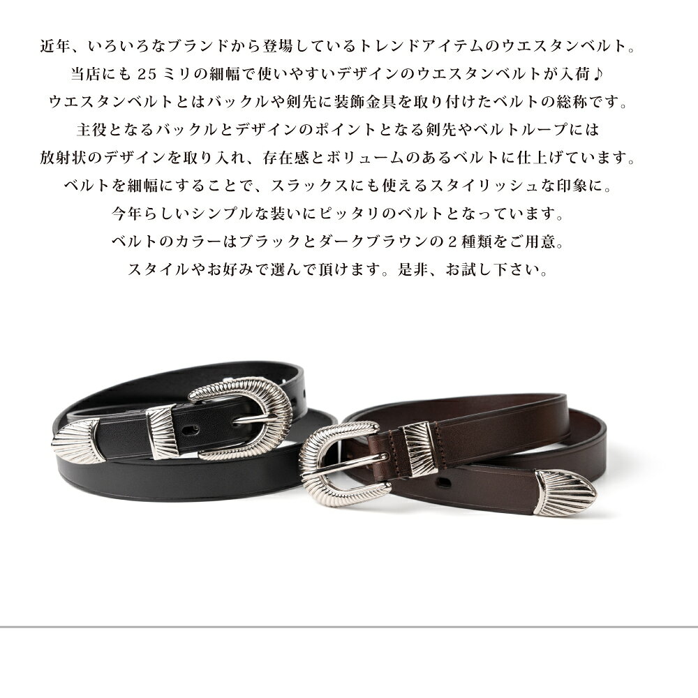 �᥿��롼�� ����������٥�� ���������� �Хå��� �٥�� ��� ��ǥ����� �ܳ� ���� ���� BELT