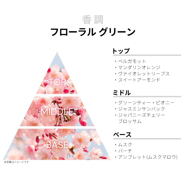 エリザベスアーデン 香水 レディース グリーンティー サクラブロッサム EDT・SP 100ml 香水 フレグランス プレゼント 贈り物 ギフト GREEN TEA SAKURA BLOSSOM ELIZABETH ARDEN