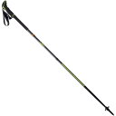 レキ トレッキングポール シェルパ FX.ONE カーボン 130cm ブラック #1300482-190 2本組 送料無料 LEKI