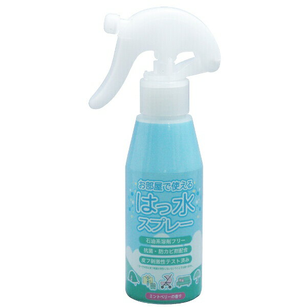 アックス 超強力防水スプレー ウォータープルーフプレミアム #AX31 120ml AXE