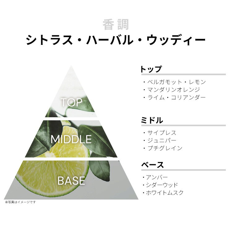 香水 VIKTOR＆ROLF フラワー ボム EDP・SP 50ml 【送料無料】【フレグランス ギフト プレゼント 誕生日 レディース・女性用】【フラワ ボム FLOWER BOMB EAU DE PARFUM SPRAY】