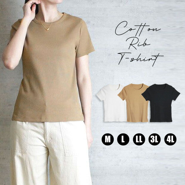 コンパクトコットンリブTシャツイン...