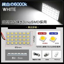 beltaworks:10013489のサンプル画像3