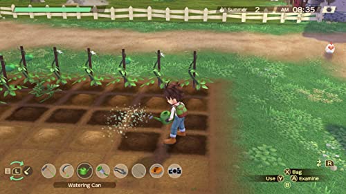 Story of Seasons: A Wonderful Life (輸入版:北米) - Switch