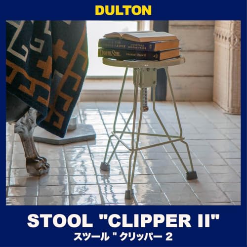 ダルトン(Dulton) 椅子 スツール クリッパー2 アイボリー 高さ440*480*幅385*奥行350mm STOOL ''CLIPPER II'' IVORY 100-253IV [3]