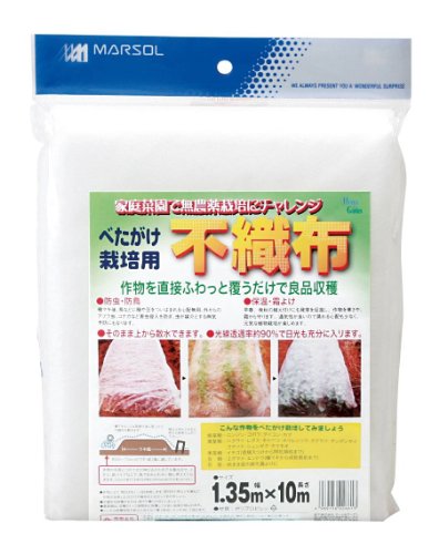 日本マタイ