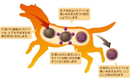 リモナイト オリエント商会 愛犬用 鶏肉ささみおやつ 小粒 250g