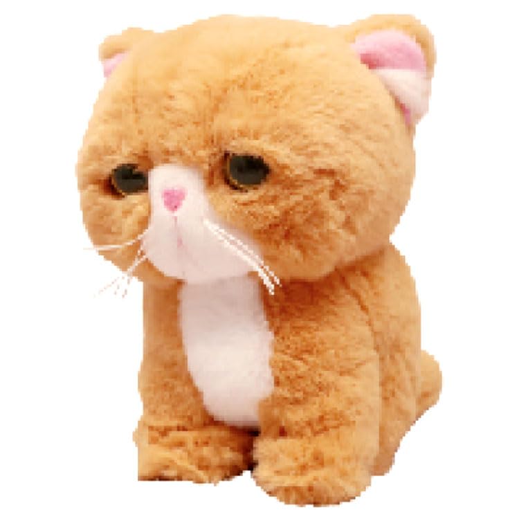 猫種エキゾチックショートヘアをモデルにした、むっちりふわふわな｢もちゃぼんぼん｣ぬいぐるみです。なんだかしょんぼりして見えるのも可愛らしい。柔らかい生地を使用しているので、触り心地も抜群。商品サイズ:約幅8cm*奥行13cm*高さ12*