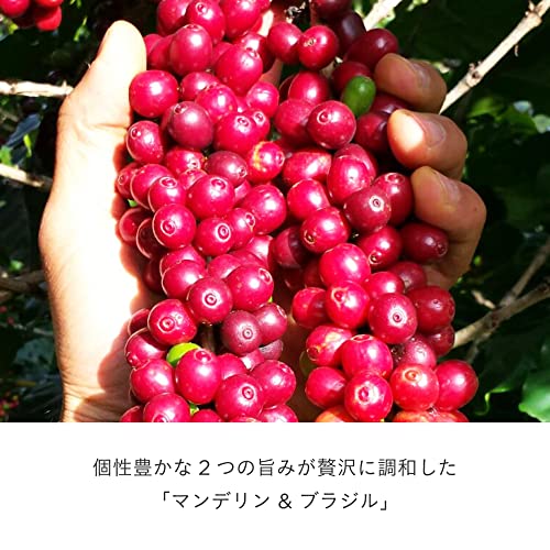 UCC �ɥ�åץݥå� ���ѥ��ץ��� �ޥ�ǥ��&�֥饸�� 12��ʬ *6Ȣ �ݥåɡ����ץ���