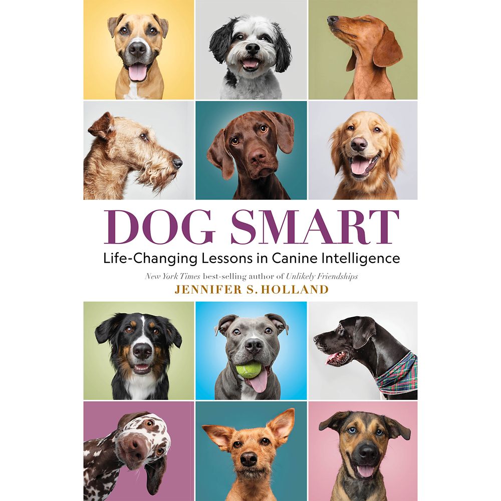 乐天商城 - 【取寄せ】 ディズニー Disney US公式商品 本 洋書 英語 [並行輸入品] Dog Smart: Life-Changing Lessons in Canine Intelligence Book グッズ ストア プレゼント ギフト クリスマス 誕生日 人気