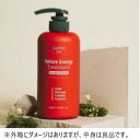 【訳あり】【中身良品】GOTTI ネイチャー エナジー トリートメント 500ml