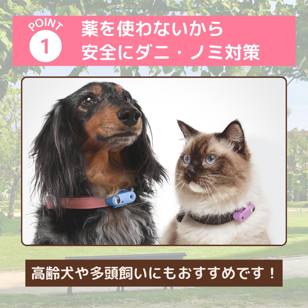 【公式】NEW「チックレス USBタイプ2026」送料無料 「TICKLESS USB」愛犬・愛猫をダニ・ノミから守ろう！　薬を使わない！　ペットにやさしい〜 おさんぽがもっと楽しくなる　超音波　アウトドア　首輪　アクセサリー　犬猫 2