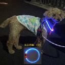 【光る首輪】 F20 LED ライト USB充電式 夜 さんぽ 安心 安全 リード ハーネス カラー 犬用 猫用 犬 猫 長さ調節可 小型犬 中型犬 大型犬 ペット用品 蛍光 発光 点滅 点灯 事故防止 グッズ ケア ウォーキング イベント 散歩 装飾 どんぐり バンド アクセサリー 首輪 LAROO