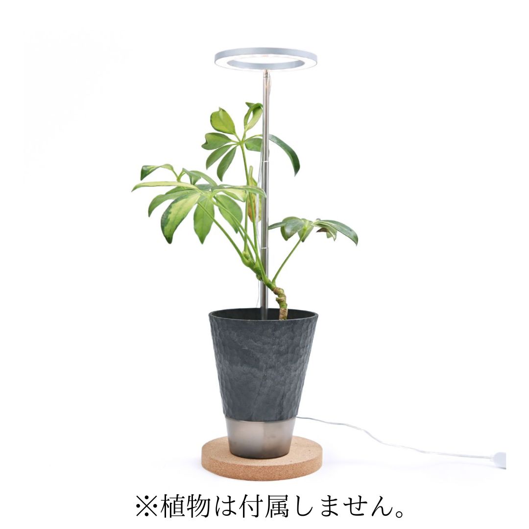 植物育成用LEDライト 「オロハライト」 ～oroha light～ 植物育成に適したLEDライト コンパクトで タイマー付き 2色のカラーでインテリアを演出