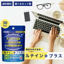 オリヒロ ルテインプラス 60粒 30日分orihiro サプリメント ルテイン ルテインサプリ 機能性表示食品 目 眼 視力 視界 光刺激 眩しい 軽減 目の...