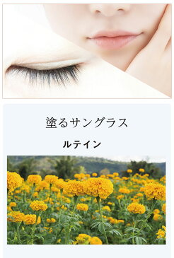 目元口元復元クリーム!PLATINUM LIFTY プラチナリフティ-アイクリーム(15g)/老化が出やすい目元・口元を若かったころに復元する専用 ルテイン ヒートショックプロテイン 免疫の働きを整える