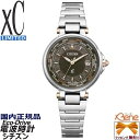 '22-11 1800{ {yAf CITIZEN xC/V`Y NXV[ Limited Pair Model fB[X GRhCu [h^Cdg XeX Tt@CAKX Vo[~EH[O[ EC1010-65H