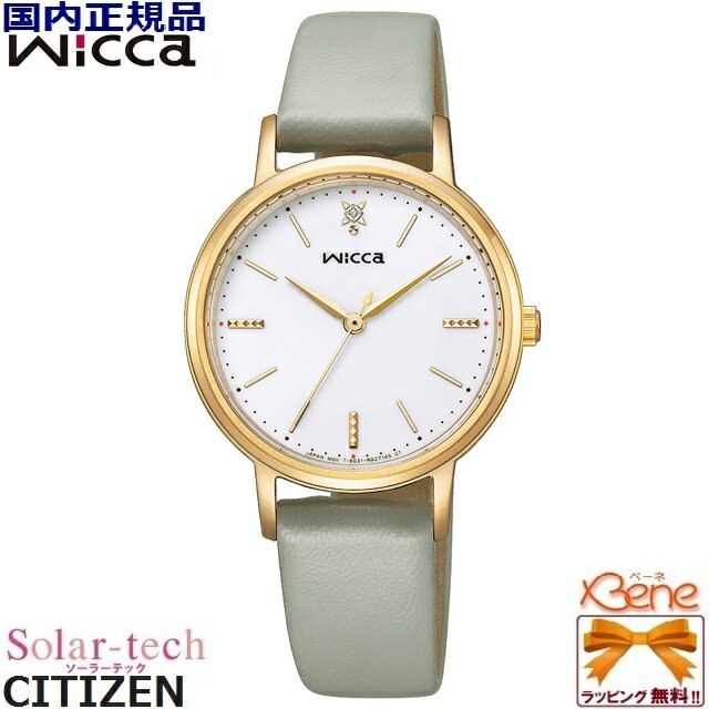   CITIZEN/ WICCA/å 顼ƥå 5ɿ ǥ顼å ݷ ƥ쥹 ...