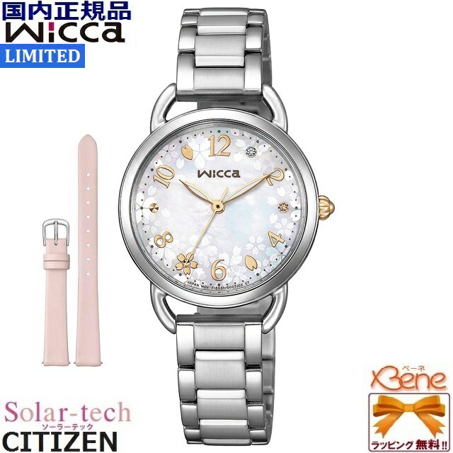  '25-2 ǥ顼ƥåå CITIZEN/ WICCA/å  ǥ ؤХ...