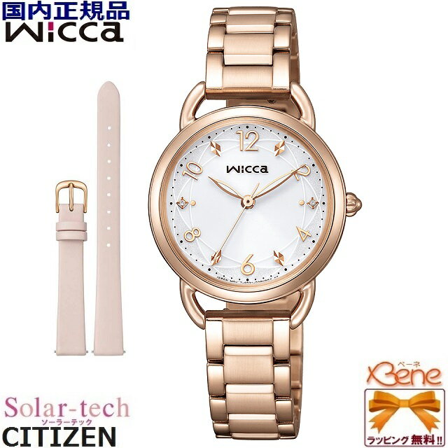 24-10 ǥ顼ƥåå CITIZEN/ WICCA/å 쥶ؤХդ ԥ󥯥١ 5...