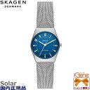 SKAGEN/XJ[Q GRENEN LILLE/O[l  \[[ AiO fB[X XeXX`[ ArA Vo[~I[Vu[ ی^ 3j SKW3080