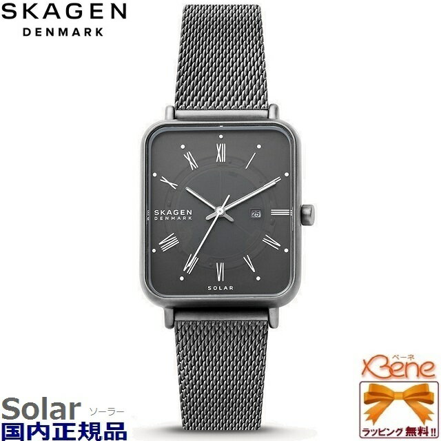 SKAGEN/ RYLE/饤 ڥǥ 顼  ʥ ƥ쥹 㥳 ƥ쥹åХ 3ɿ   㥳 졼 SKW6757