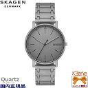 新品・正規品 SKAGEN/スカーゲン SIGNATUR メンズクオーツ アナログ 3針 ステンレス グレー SKW6913(2)