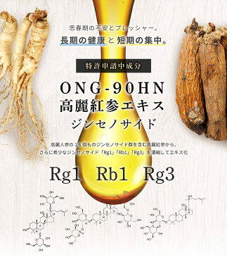 【送料無料】528高麗紅参茶 受験王100 2箱セット（1箱30包） 高麗人参茶 学生向け健康食品 子供サプリ 30日返金保証 免疫力アップ 体温アップ インフル予防