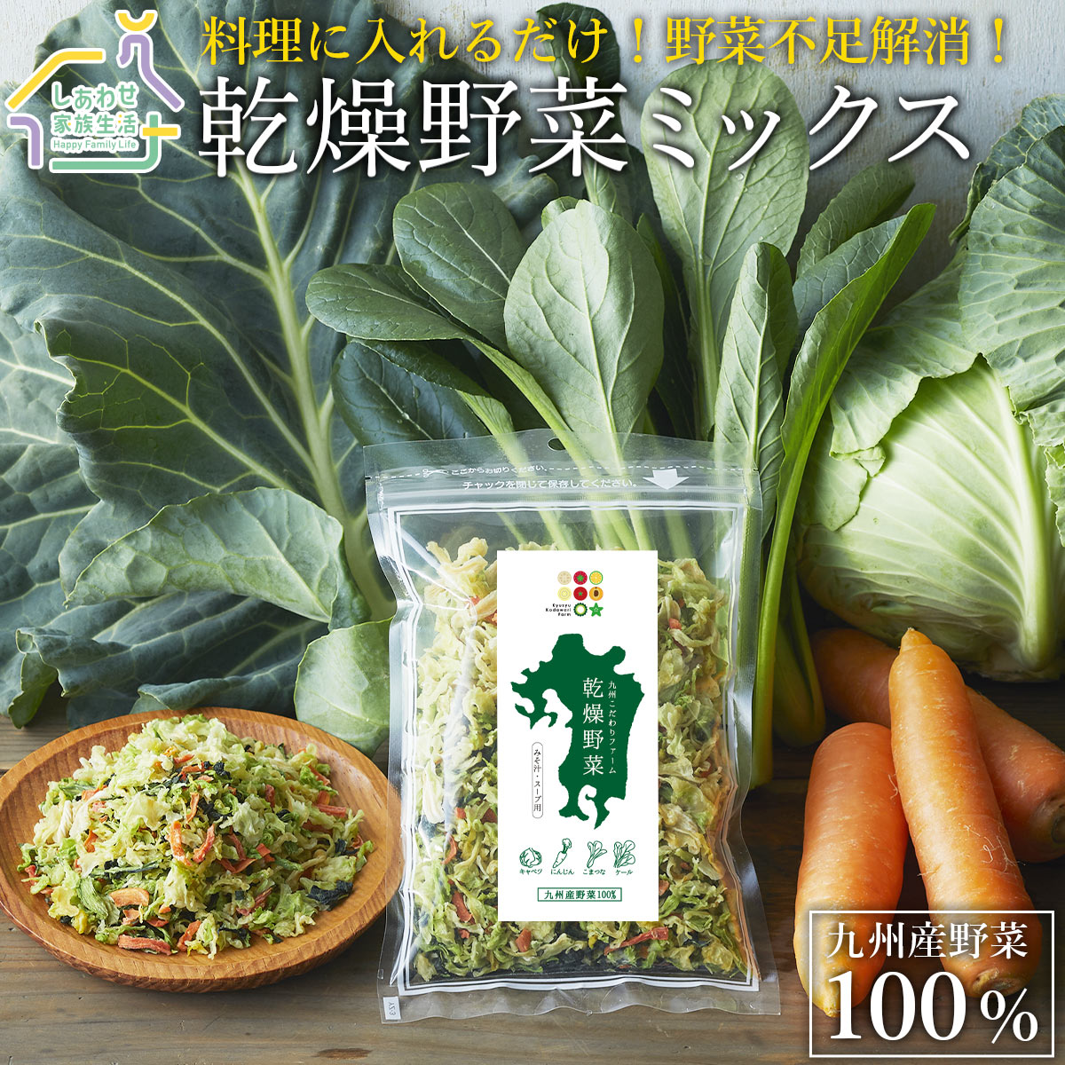 乾燥野菜ミックス 200g 100g×2袋 九州