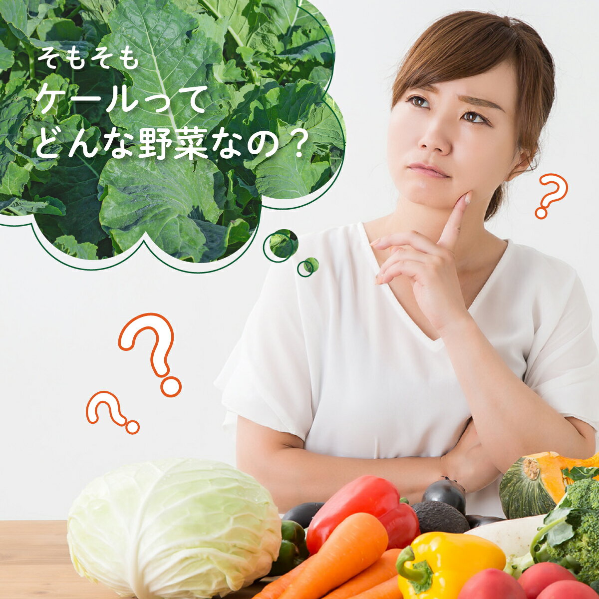 乾燥ケール（100g）九州産ケール100% 乾燥野菜 無添加 送料無料 料理にトッピング 九州こだわりファーム 2