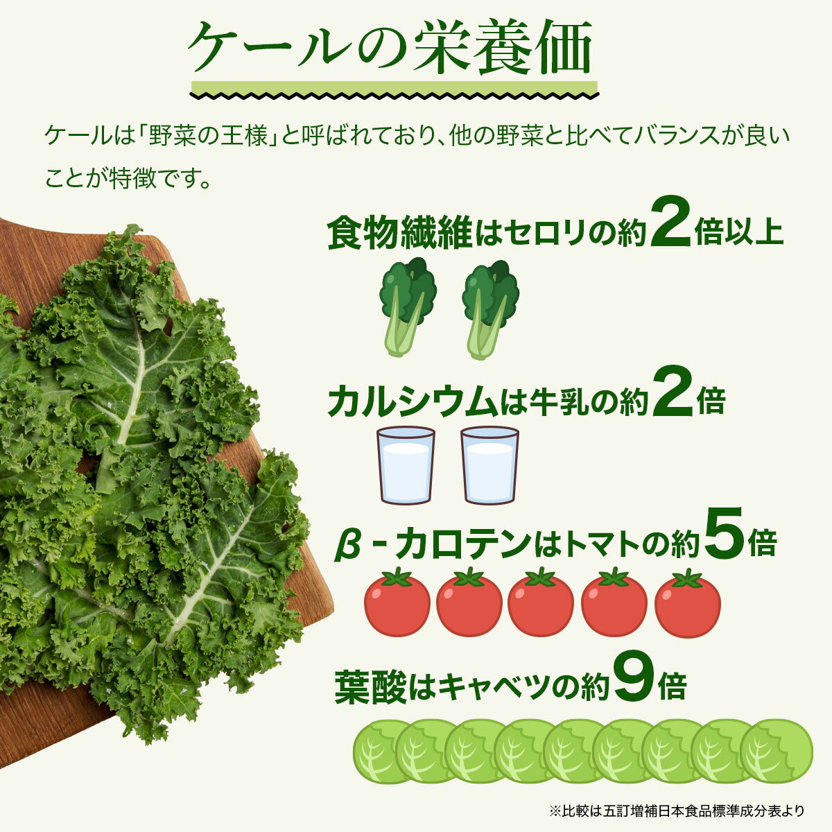 乾燥ケール（100g）九州産ケール100% 乾燥野菜 無添加 送料無料 料理にトッピング 九州こだわりファーム 3