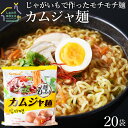 カムジャ麺 1/20/40袋（118g）【送料無料】じゃがいも麺 じゃが芋ラーメン 韓国ラーメン ピリ辛ラーメン 三養食品 インスタントらーめん