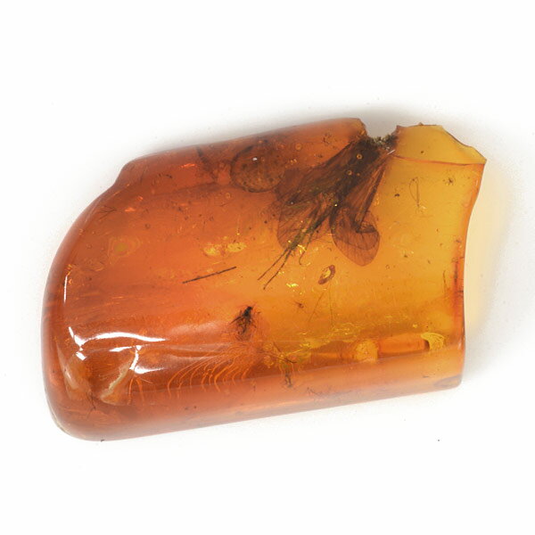 ☆琥珀（虫入り）3.25ct1個限定製品オーダー可能※こちらのルースを使用してのオーダー・セミオーダー・カスタマイズもお受けできます。