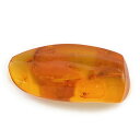 【ポイント10倍】 ☆琥珀(虫入り)14.4ct1個限定製品オーダー可能※こちらのルースを使用してのオーダー・セミオーダー・カスタマイズもお受けできます。(4)
