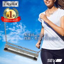 楽天BENEBOX　楽天市場店【楽天1位】【ポイント15倍／正規品保証】 SEV メタルレールSi セブ SEVネックレス 肩こりネックレス 正規品 健康ネックレス アスリート選手愛用 ネックレス シルバー925 肩こり 腰痛 健康アクセサリー オシャレ チェーンネックレス あす楽 送料無料