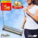 【ポイント5倍!楽天1位!レビュープレゼント中!】 SEV メタルレールSi セブ SEVネックレス 肩こりネックレス 正規品 健康ネックレス アスリート選手愛...