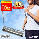 【ポイント5倍!楽天1位!レビュープレゼント中!】 SEV メタルレールSi セブ SEVネックレス 肩こりネックレス 正規品 健康ネックレス アスリート選手愛用 ネックレス シルバー925 肩こり 腰痛 健康アクセサリー チェーンネックレス 送料無料