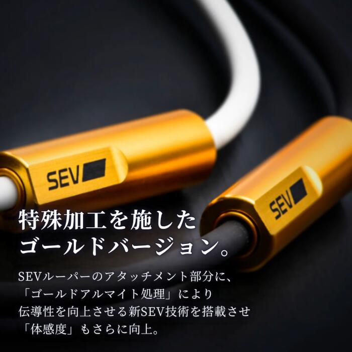 【楽天1位！ポイント5倍！正規品保証】 SEV Looper typeG 44 46 48 54cm セブ ルーパー タイプG ブラック ホワイト SEVネックレス スポーツネックレス 健康ネックレス あす楽 送料無料 3