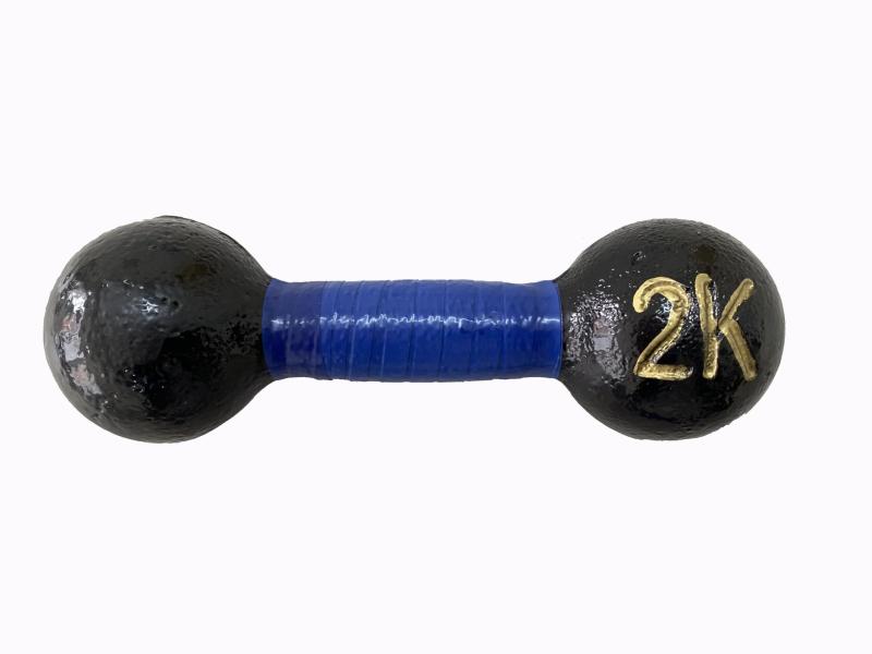 LITEC(ライテック) 鉄アレー 2kg DP004