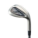フォーティーン(FOURTEEN) DJ-6 ブラックメッキ ウェッジ #58 DS91w-BK スチール メンズ 右 ロフト角: 58度 フレックス:WEDG...