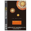 ピクトリコ PPS200-A3+/20 (ピクトリコプロ/セミグロスペーパー/A3/サイズ/20枚入り)(2)
