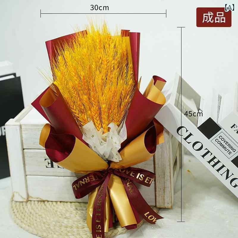 ۥӡߡ    « ޾  ǯ   ɥ饤ե ǰ  ץ˥ ե ƻ