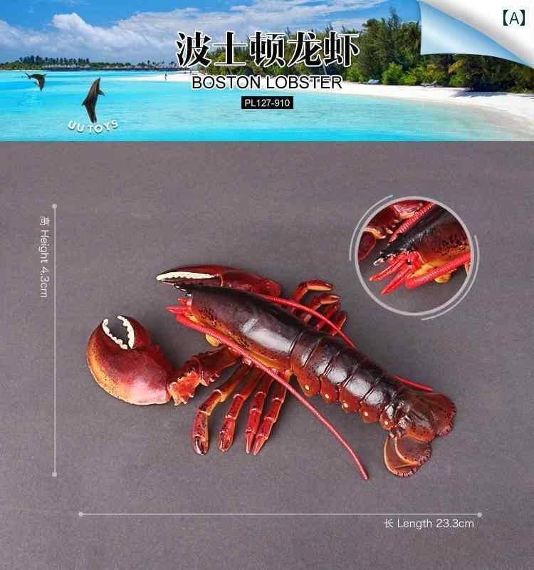 㡡ưʪե奢 Ҷ  ϵ  ưʪ  ȥꥢ  ֥ ץ饹å  緿 Х  