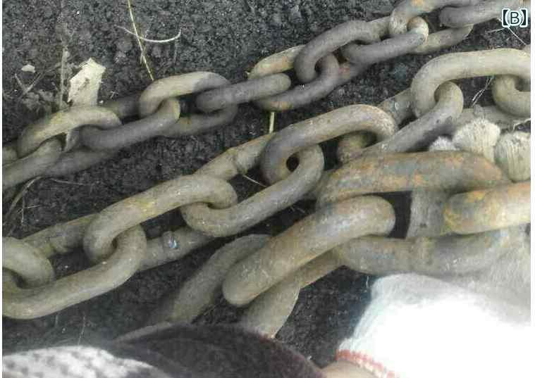 ワンちゃん　ペットグッズ ピットブル ヘビー チェーン マスティフ 大型 犬 ドラッグ トレーニング 用品 鉄