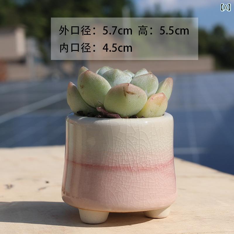 植木鉢 多肉植物用 おしゃれ かわいい 陶器製 カラフル 虹色 レインボー 観葉植物 ポット 小型 園芸用品 ガーデニング 雑貨 インテリア モダン シンプル 北欧風 オフィス デスク 卓上 ベランダ 玄関 リビング 飾り 装飾用 小物入れ 鉢植え 植栽