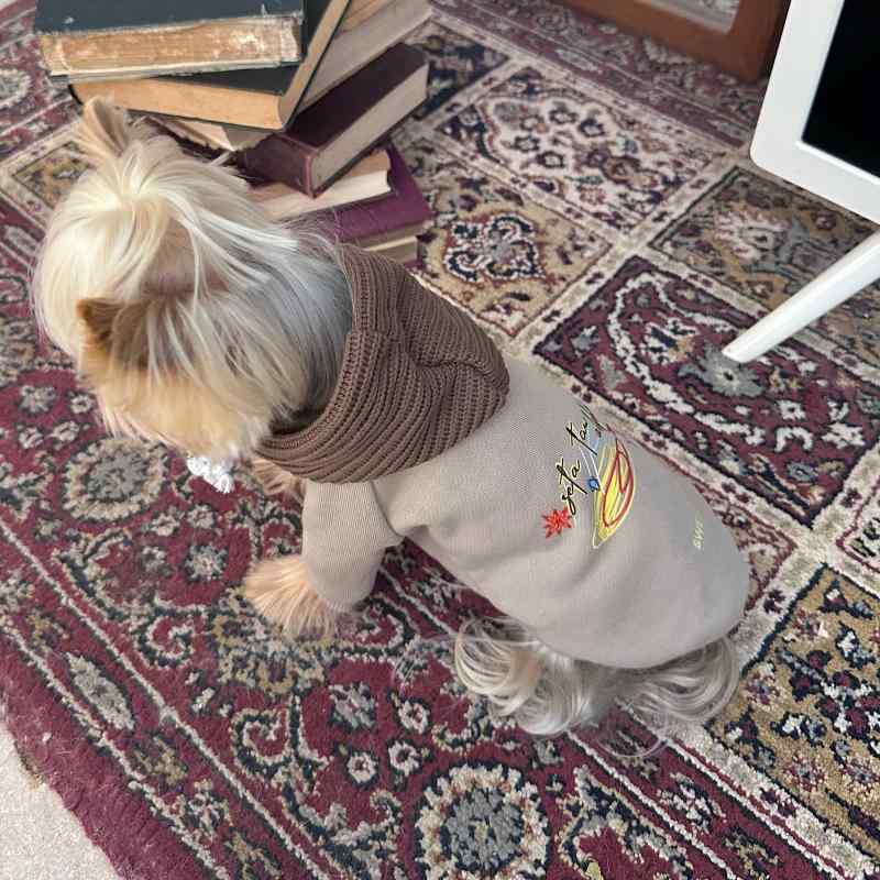 犬用 連帽 パーカー 小型犬 春秋 外出用 フーディー プルオーバー かわいい 軽量 コットン混