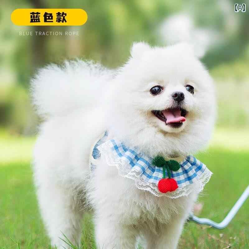 リード 小型犬用 多機能 首輪 胸背帯 散歩ロープ 猫対応 ペットチェーン 軽量 耐久性 調整可能