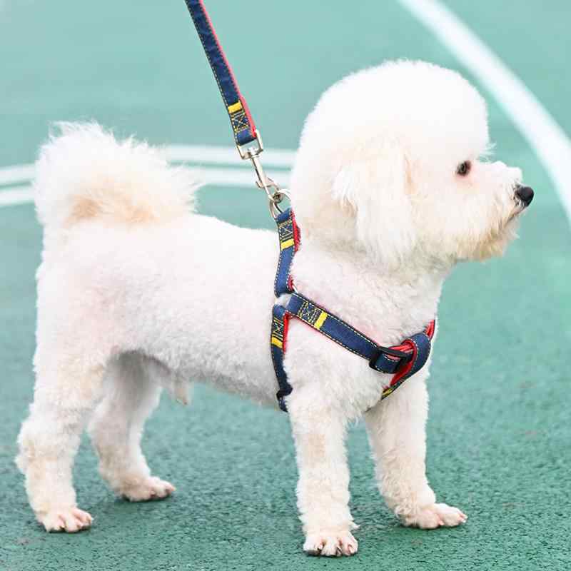 Harness Leash - 犬用リード 小型犬 中型犬 首輪 チェーン セット ビションフリーゼ テディベアプードル ポメラニアン 子犬対応 散歩グッズ ペットアクセサリー 耐久性 軽量 調整可能