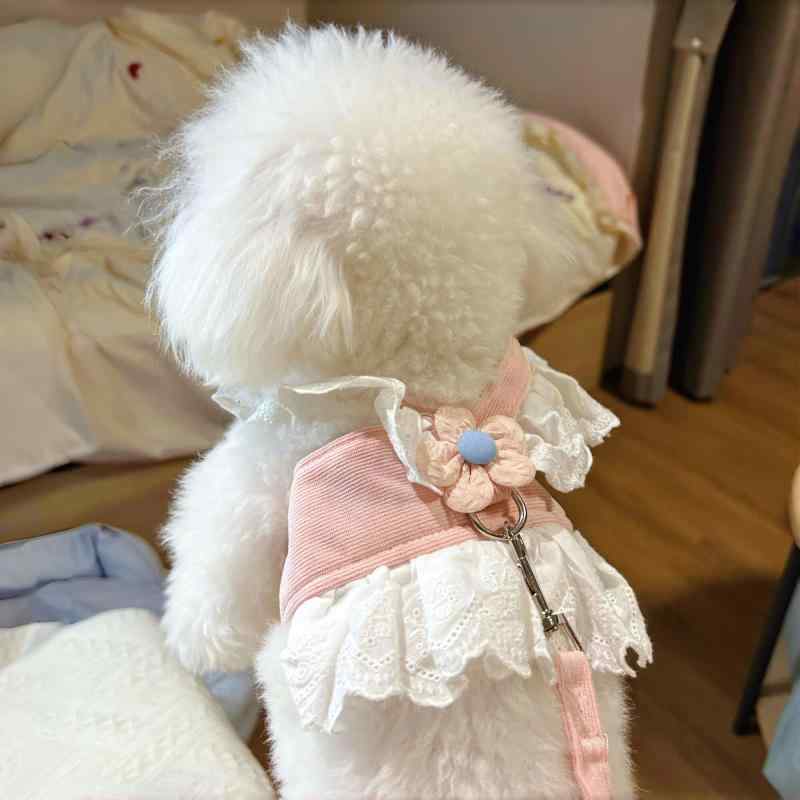 Other - ペット ハーネス 胸背式 小型犬 子犬 猫用 脱走防止 首締め付けなし 散歩 リード 外出用 軽量 調整可能